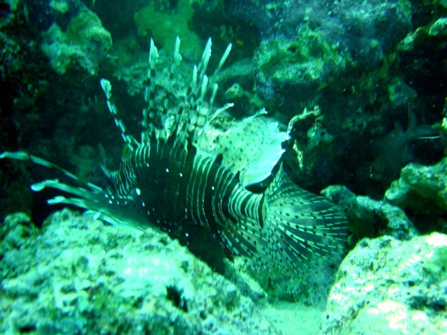 dsc00646_exposure.jpg