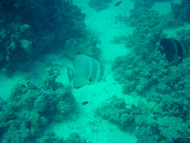 dsc00663.jpg