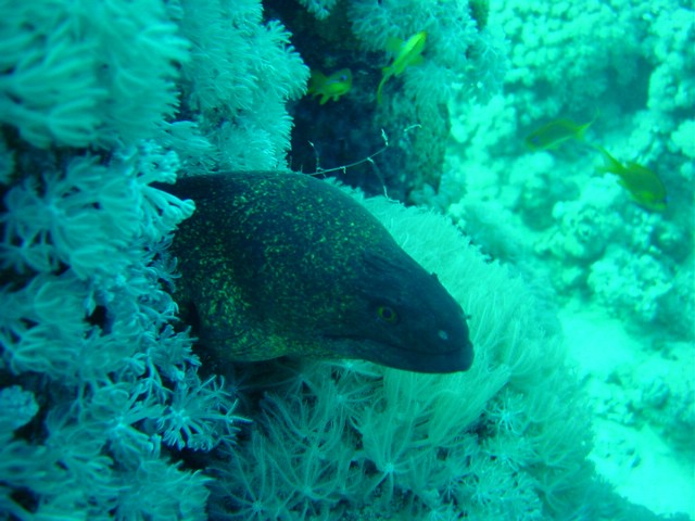 dsc00670.jpg