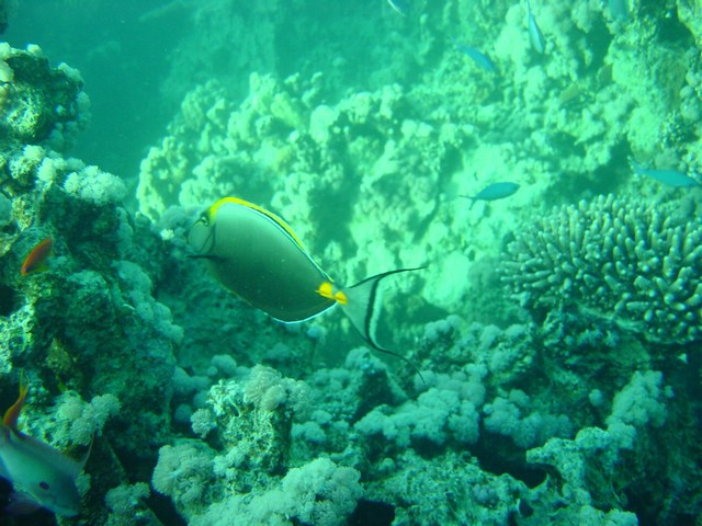 dsc00679.jpg