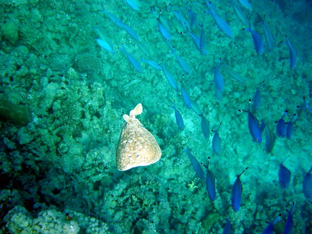 dsc00680_exposure.jpg