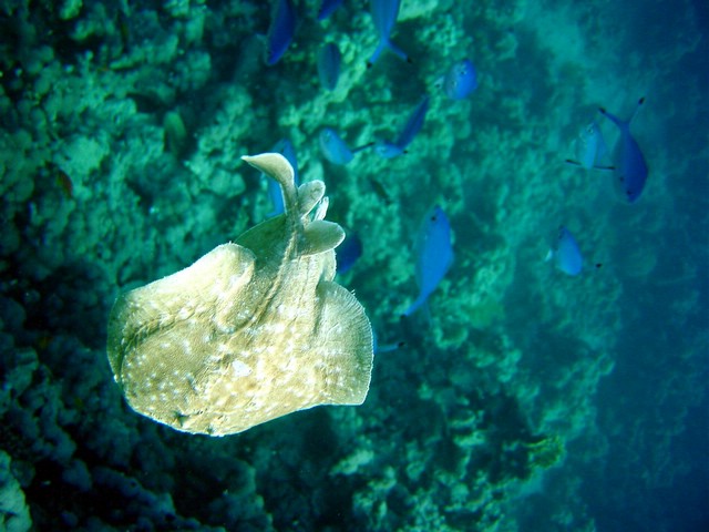 dsc00681_exposure.jpg