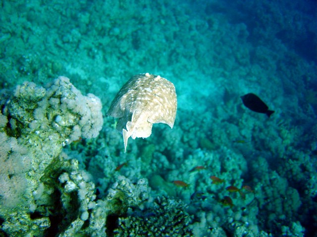 dsc00683_exposure.jpg