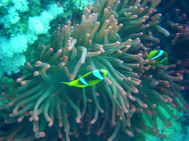 dsc00691.jpg