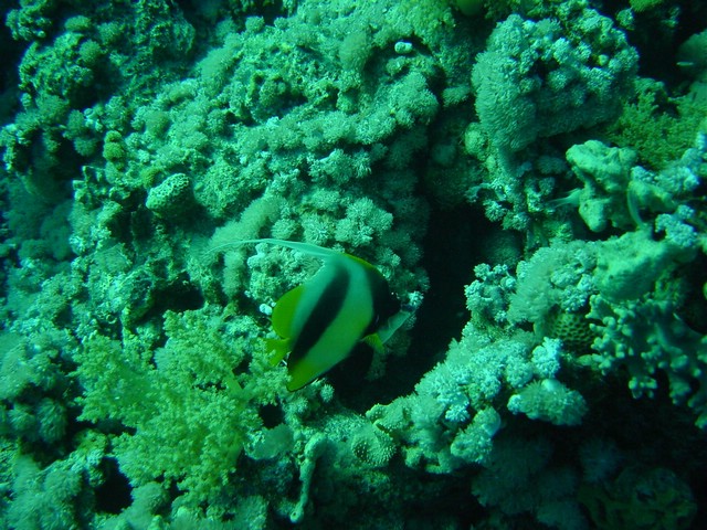 dsc00693.jpg