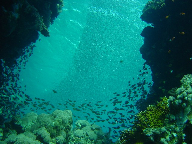 dsc00695.jpg