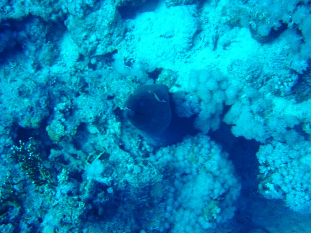 dsc00709.jpg
