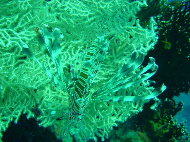 dsc00723.jpg