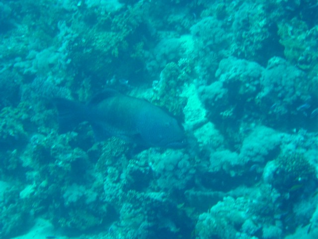 dsc00745.jpg