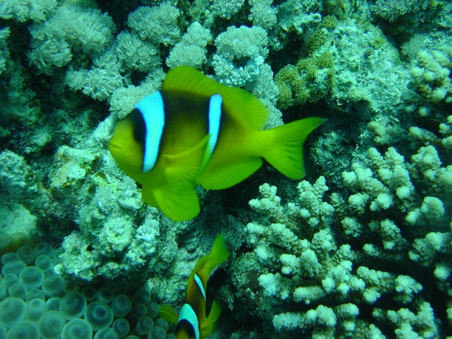 dsc00754.jpg