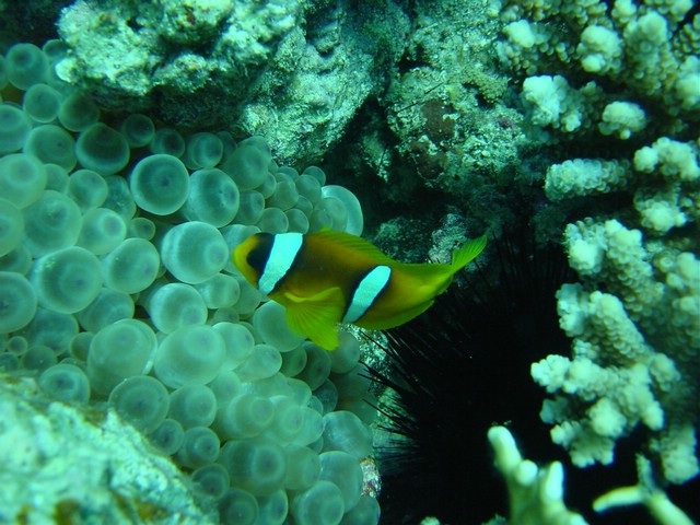 dsc00755.jpg