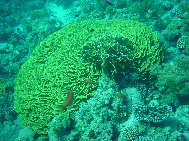 dsc00756.jpg