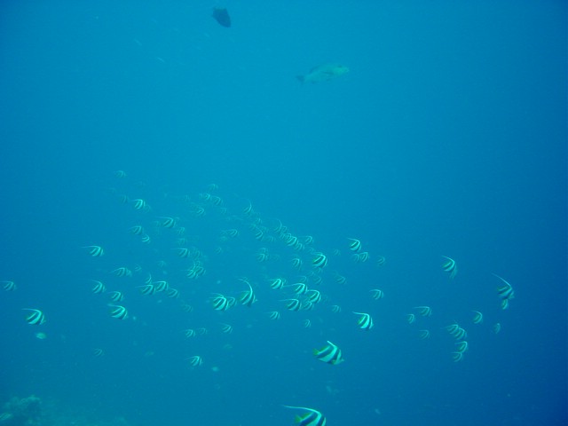 dsc00761.jpg