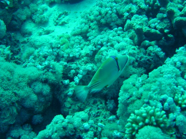 dsc00762.jpg