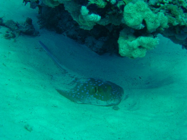 dsc00765.jpg