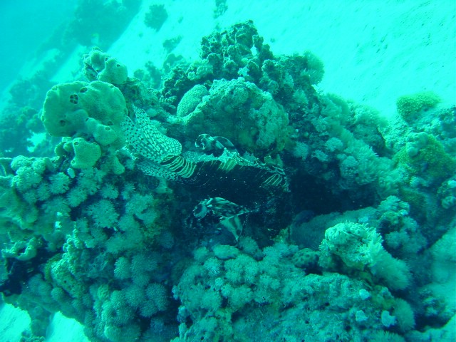 dsc00766.jpg