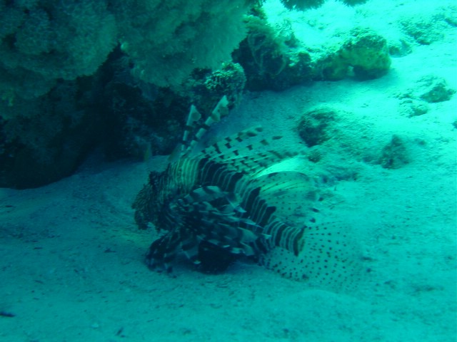 dsc00767.jpg