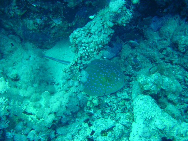 dsc00772.jpg