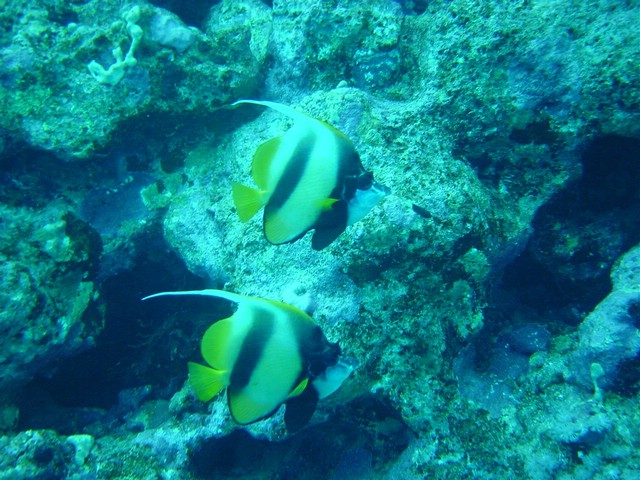 dsc00774.jpg
