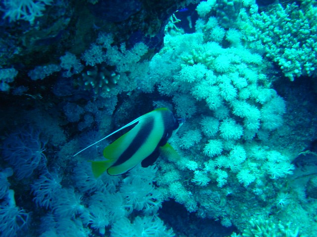 dsc00778.jpg