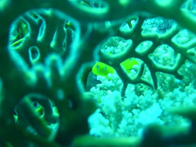 dsc00788.jpg