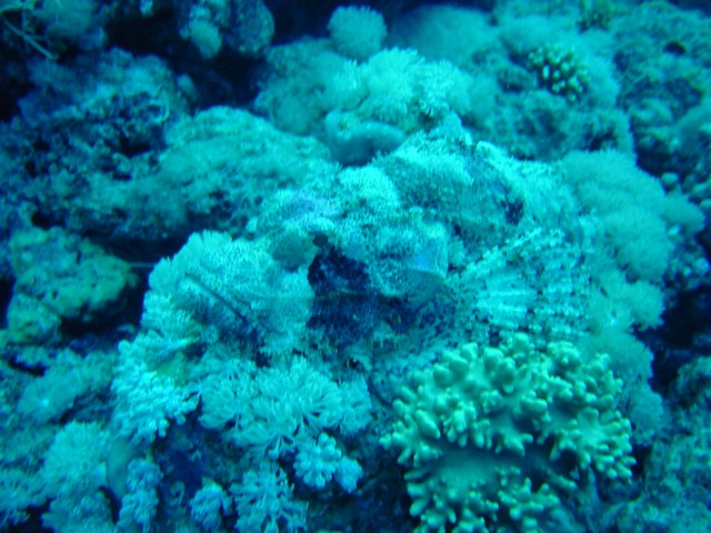 dsc00792.jpg