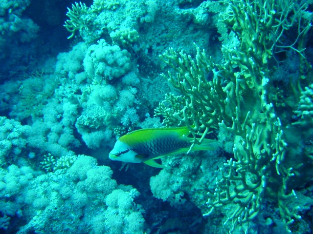 dsc00798.jpg