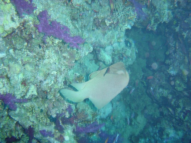 dsc00801.jpg