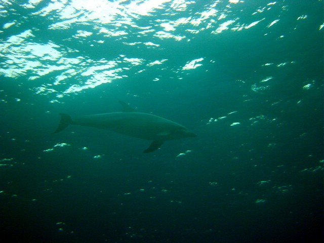 dsc00810_exposure.jpg