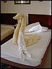 dsc00642.jpg