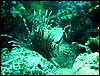 dsc00646_exposure.jpg