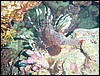dsc00647.jpg