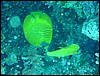 dsc00648.jpg
