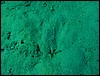 dsc00652.jpg