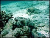 dsc00661_exposure.jpg