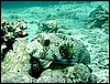 dsc00662_exposure.jpg