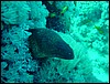 dsc00670.jpg