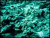 dsc00673_exposure.jpg