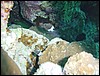 dsc00676.jpg