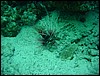 dsc00678.jpg