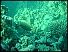 dsc00679.jpg