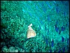 dsc00680_exposure.jpg