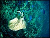 dsc00681_exposure.jpg