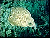 dsc00682_exposure.jpg