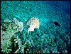 dsc00683_exposure.jpg