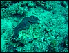 dsc00685.jpg