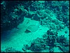 dsc00686.jpg