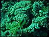 dsc00693.jpg