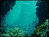dsc00695.jpg