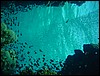dsc00696.jpg
